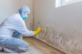 Best Mold Remediation for Healthcare Facilities  in Dublin, OH