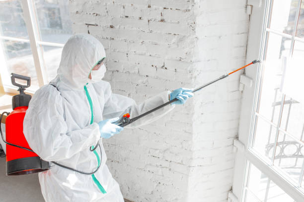 Best Biohazard Mold Removal  in Dublin, OH