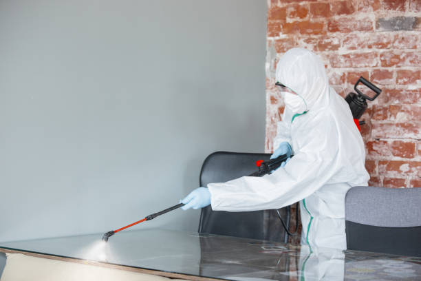 Why You Should Choose Our Mold Remediation Services in Dublin, OH