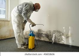 Best Mold Prevention Services  in Dublin, OH